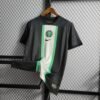 CAMISETA NIGERIA ENTRENAMIENTO 22/23 HOMBRE (VERSIÓN FAN) - Zona Camisetas
