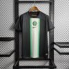 CAMISETA NIGERIA ENTRENAMIENTO 22/23 HOMBRE (VERSIÓN FAN) - Zona Camisetas