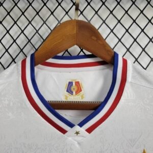 CAMISETA FORTALEZA ll 24/25 HOMBRE (VERSIÓN FAN) - Zona Camisetas