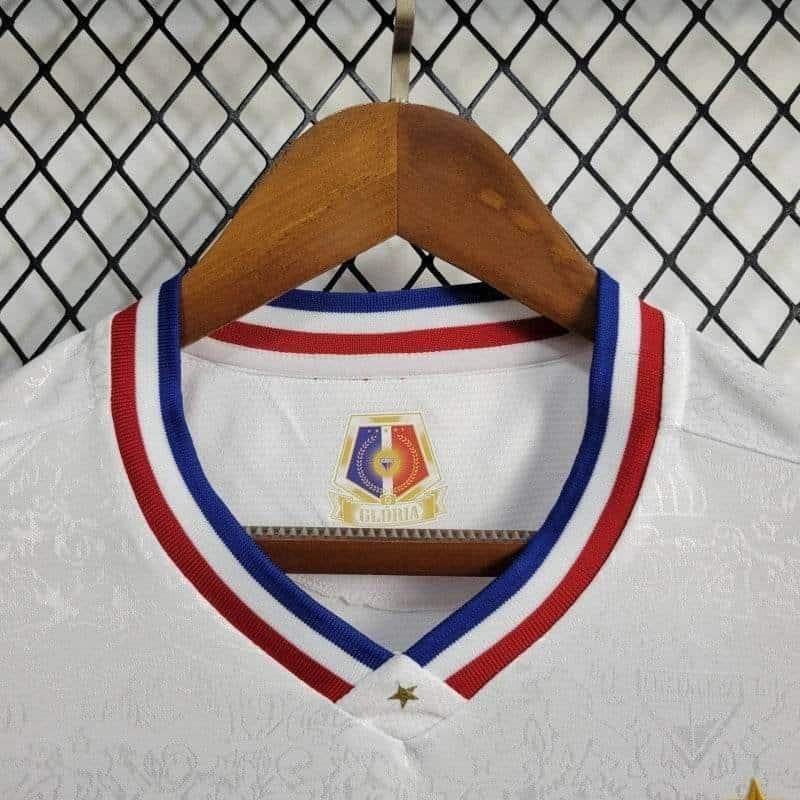 CAMISETA FORTALEZA ll 24/25 HOMBRE (VERSIÓN FAN) - Zona Camisetas