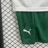 CAMISETA PALMEIRAS lI 25/26 CONJUNTO INFANTIL - Zona Camisetas