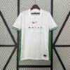 CAMISETA NIGERIA I 2024 HOMBRE (VERSIÓN FAN) - Zona Camisetas