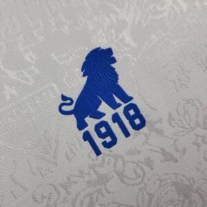 CAMISETA FORTALEZA ll 24/25 HOMBRE (VERSIÓN FAN) - Zona Camisetas