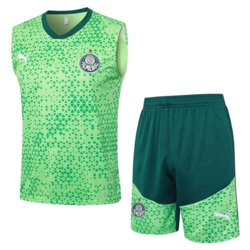 CONJUNTO SIN MANGAS PALMEIRAS ENTRENAMIENTO I 24/25 HOMBRE - Zona Camisetas