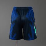 769ea1ba BRASIL SHORT II 2026